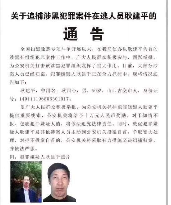 人体蒋碧薇女士，蒋碧薇女士画像（A级通缉犯的反转人生）