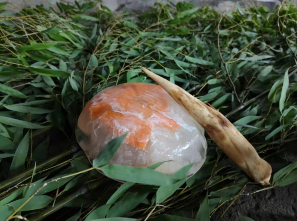 吃西瓜打一种动物，吃西瓜打一个动物（炎炎夏日“TA们”很享受）