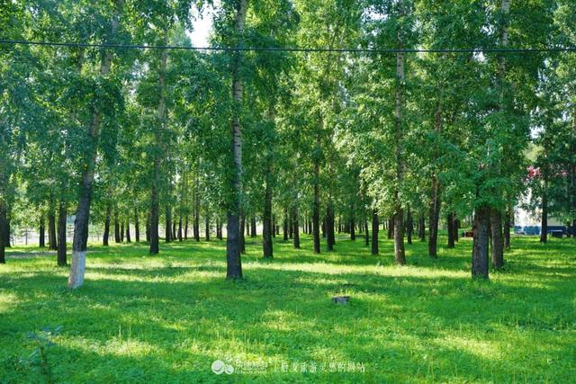 红玛瑙的功效与作用，冰红南红玛瑙的功效与作用（玛瑙中深藏的武侠文化）