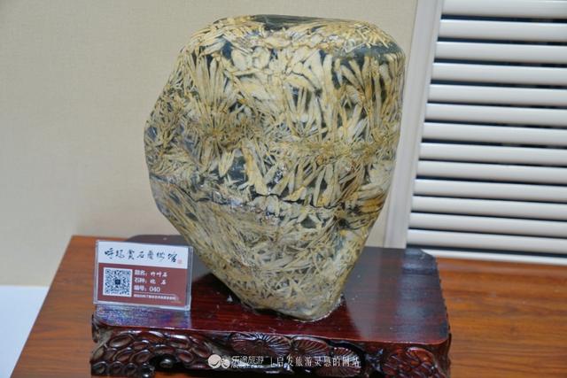 红玛瑙的功效与作用，冰红南红玛瑙的功效与作用（玛瑙中深藏的武侠文化）