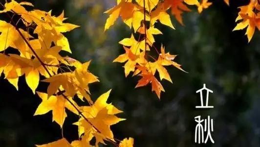 立秋习俗有哪些，立秋有什么风俗（这就告诉你最佳的打开方式）