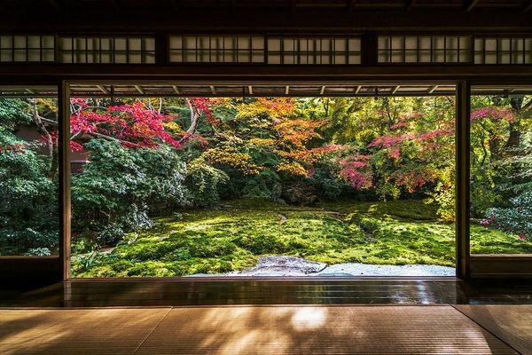 立秋的风俗有哪些，立秋的风俗有哪些作文（立秋的来历是什么）