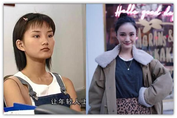 红苹果乐园演员，曾经的红苹果乐园的演员（《红苹果乐园》演员十六年后）