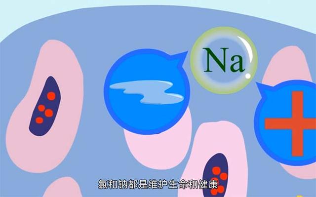 钠对人体有什么作用，锌对人体有什么作用（吃咸了多喝水就行）
