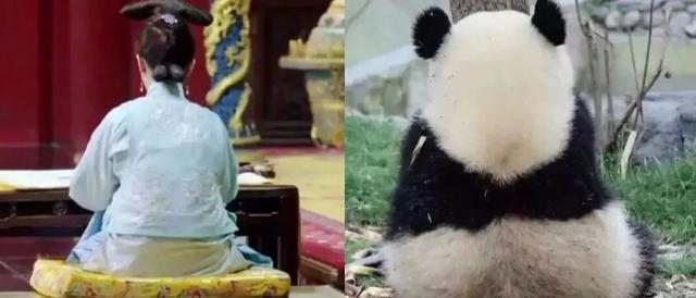 背薄一寸下一句是什么，背薄一寸下一句话怎么说（千万别做“背厚”的人）