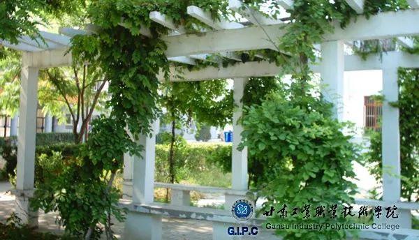 甘肃工业职业技术学院，2021年甘肃工业职业技术学院录取结果公布时间及录取通知书查询入口（这所院校被教育部表扬了）