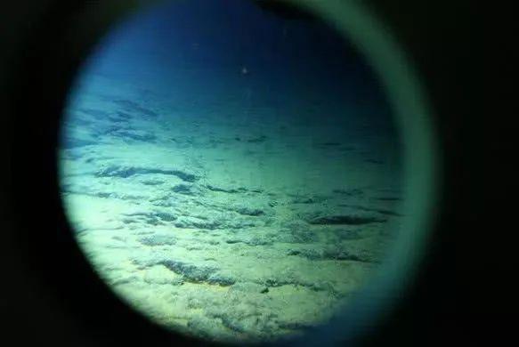 10000米恐怖深海鱼图片，海底一万米有多恐怖（在8200米的深度已经没有鱼类生存）