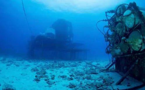 10000米恐怖深海鱼图片，海底一万米有多恐怖（在8200米的深度已经没有鱼类生存）
