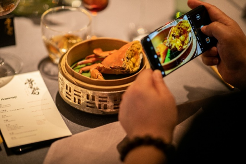 有关松茸，你不知道的那些事！，法国松茸图片（领品干邑与中餐搭配之道）