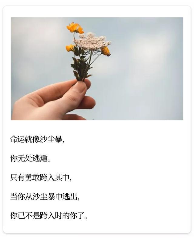 村上春树最经典的句子，村上春树经典语录30句（村上春树最经典的9句话）