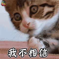 淘宝正品商城(淘宝上官网都是正品吗)