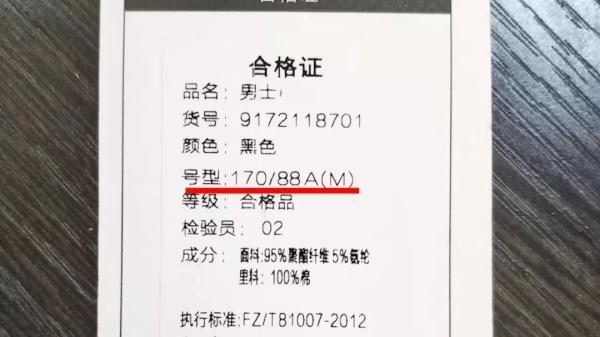 88a是多大胸围，88a是多大胸（衣服的吊牌里竟藏着这些秘密）