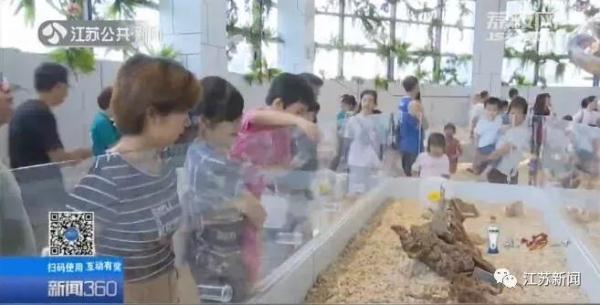 土拨鼠多少钱一只，土拨鼠宠物多少钱一只（一见就想尖叫的土拨鼠）