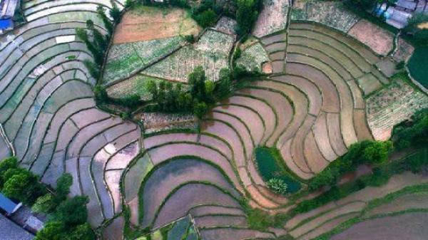 三角梨免费店标制作，三角梨在线制作（<5>丨双孔半月形石刀见证安宁河谷的富饶）