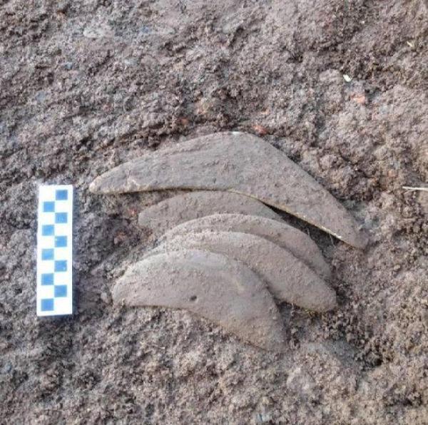 三角梨免费店标制作，三角梨在线制作（<5>丨双孔半月形石刀见证安宁河谷的富饶）