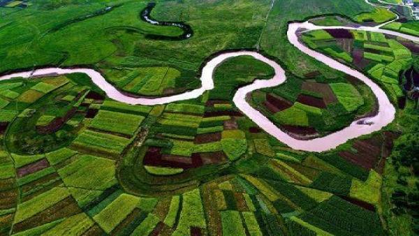 三角梨免费店标制作，三角梨在线制作（<5>丨双孔半月形石刀见证安宁河谷的富饶）