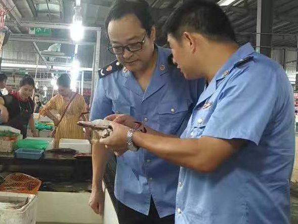 螃蟹里面紫色膏正常吗，大闸蟹紫色的膏（诸暨人买的梭子蟹里藏着“来自地狱的海鲜”）