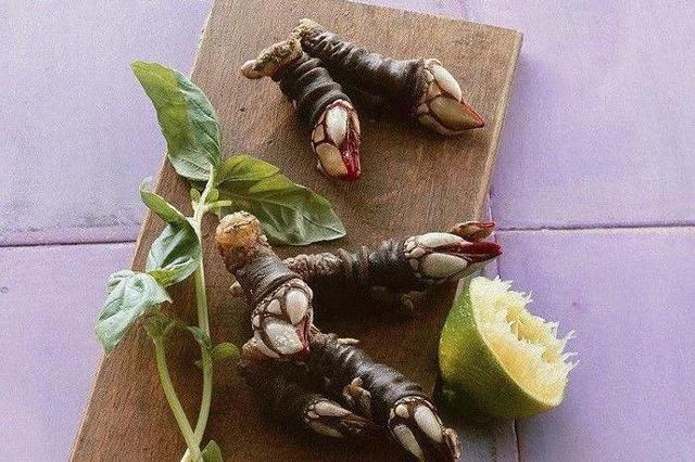 螃蟹里面紫色膏正常吗，大闸蟹紫色的膏（诸暨人买的梭子蟹里藏着“来自地狱的海鲜”）