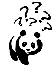 桑葚干的功效与作用，桑葚干的功效与作用及食用方法（吃桑葚干能“千杯不醉”）