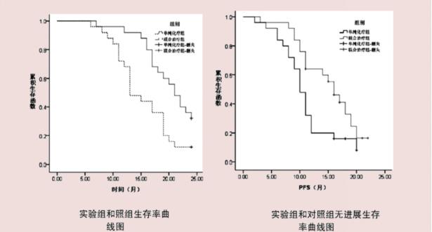 vivo手机的开发者选项在哪里，vivo手机开发者选项在哪里（CAPRI细胞疗法）