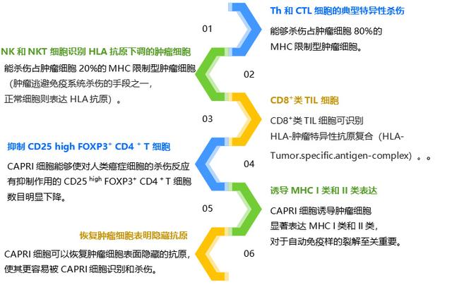 vivo手机的开发者选项在哪里，vivo手机开发者选项在哪里（CAPRI细胞疗法）