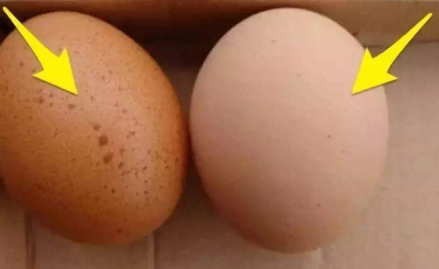 鸡蛋大头朝下还是小头朝下，鸡蛋怎么放置大头还是小头朝下（真没想到鸡蛋放冰箱有这么多细节要注意）