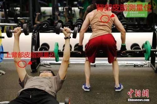 bmi计算公式器，健康体质指数计算器（你到底算不算胖）