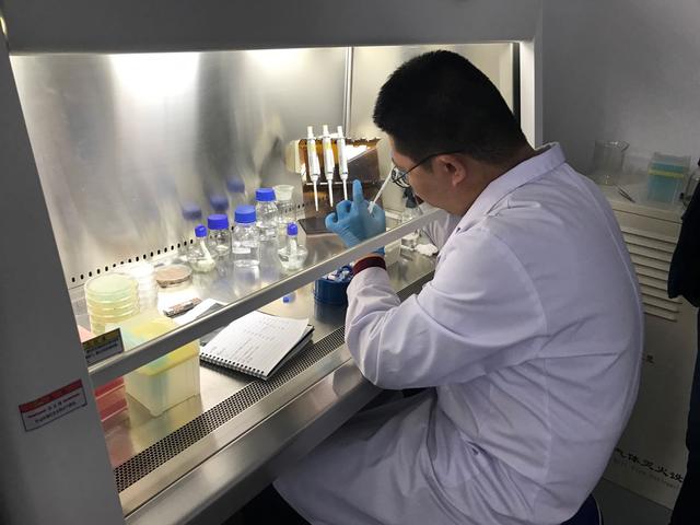 莫高窟在哪个省，莫高窟在哪个省哪个市区（世界文化遗产莫高窟的“保护经”）