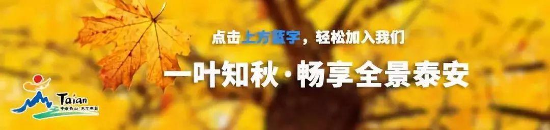 方特门票多少钱一张，郑州方特门票多少钱（玩方特最低只需36.5元/次）