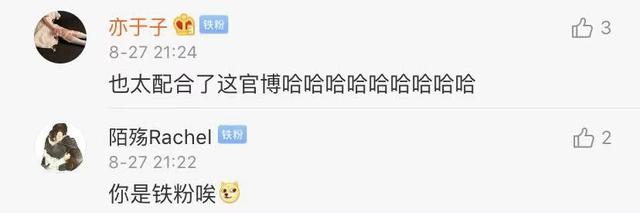 乔英子的扮演者，小欢喜的演员（《小欢喜》乔英子）