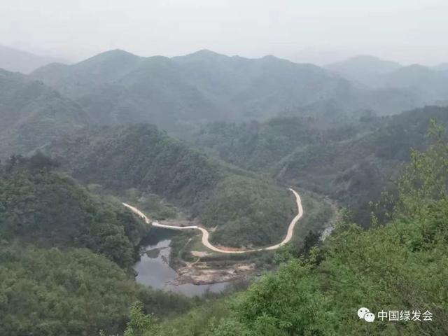 夹板龟这么值钱，竟然还有人盘它，夹板龟是保护动物吗（绿会成立“中华断板龟保护地·罗山”）