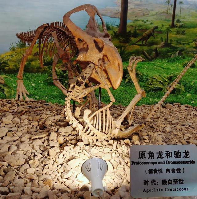 伊春市十大著名国家地理标志保护产品是什么，中华人民共和国地理标志保护产品有哪些（​解锁伊春十大打卡地）