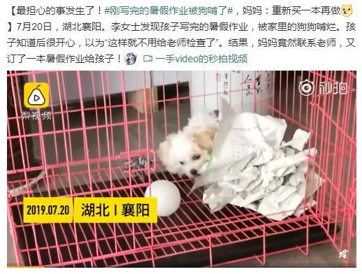 作业没写完怎么办，暑假作业没写完怎么办（真正需要治理的不是拖延症而是自律）