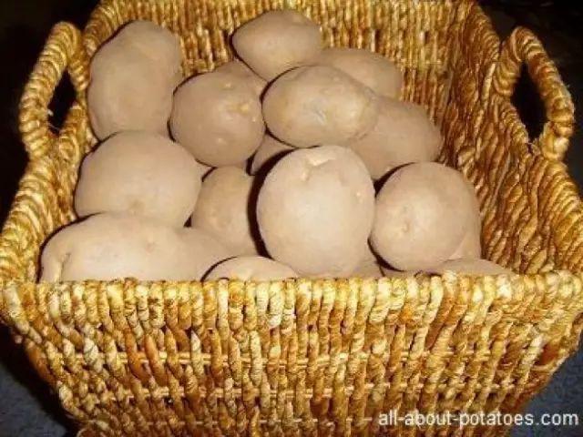 李子吃不完怎么保存，李子怎么保鲜储存（水果这么放，再也不会烂得快）