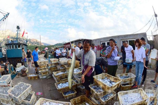 鬼头刀鱼是深海鱼吗，鬼头刀鱼是深海鱼吗（见“鬼”青山渔民在青岛近海捕获一条鬼头刀鱼）