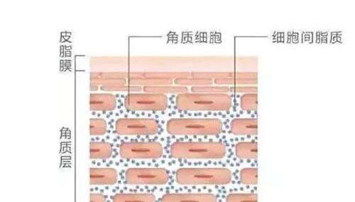 维稳是什么意思，只知换季护肤主题是维稳