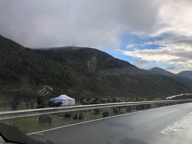 稻城在哪，四川稻城亚丁几月份去合适（你是人间值得-稻城亚丁）