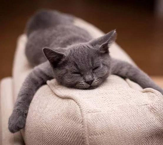 朝九晚六是几个小时，朝九晚六什么意思几个小时（办公室工作一天只不过动动手指头）