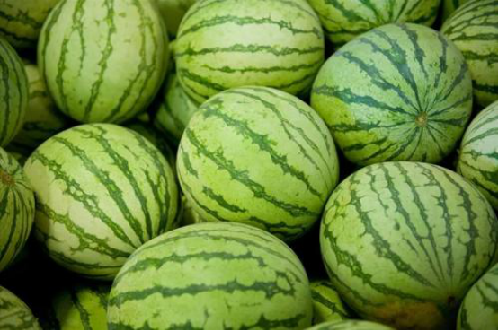 北瓜是什么瓜，北瓜是什么瓜 世界上被遗忘了一种瓜（为什么没有听说过北瓜）