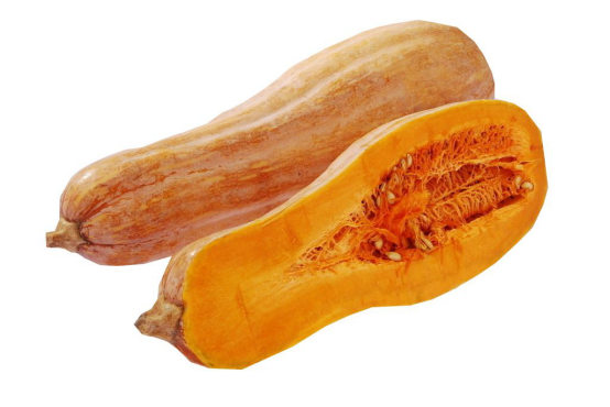 北瓜是什么瓜，北瓜是什么瓜 世界上被遗忘了一种瓜（为什么没有听说过北瓜）