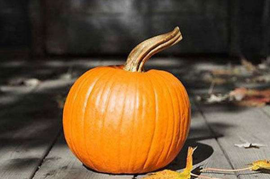 北瓜是什么瓜，北瓜是什么瓜 世界上被遗忘了一种瓜（为什么没有听说过北瓜）