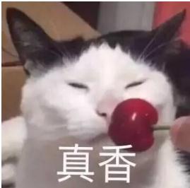 十大男装品牌服装加盟店排行榜，男品牌服装加盟店排行榜前十名（现在爱得深刻的食物）