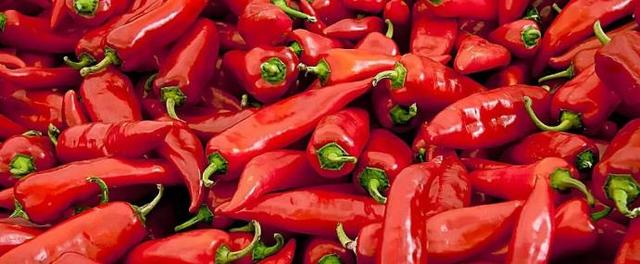 十大男装品牌服装加盟店排行榜，男品牌服装加盟店排行榜前十名（现在爱得深刻的食物）