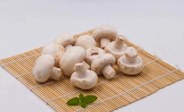 十大男装品牌服装加盟店排行榜，男品牌服装加盟店排行榜前十名（现在爱得深刻的食物）