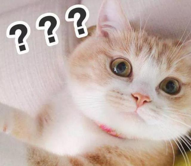 十大男装品牌服装加盟店排行榜，男品牌服装加盟店排行榜前十名（现在爱得深刻的食物）