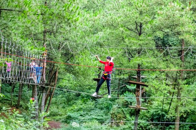 奥陶纪主题公园，重庆空中走廊万盛奥陶纪公园（没有后悔药可卖的高空项目）