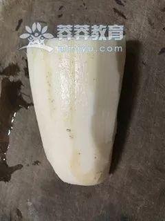 藕饼怎么做好吃又简单，正宗藕饼好吃的做法（营养主食——营养美味藕饼）