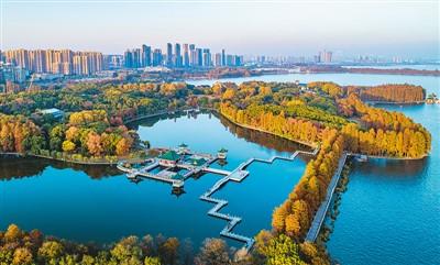 星垂平野阔 月涌大江流的意思，武汉大江流