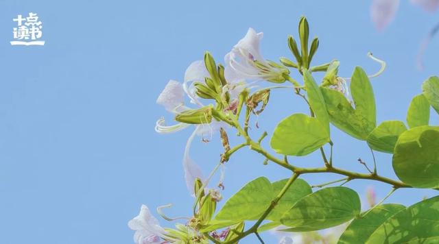 行善积德的句子，鼓励行善积德的句子（积德无需人见，行善自有天知）