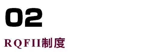 qfii和rqfii，qfii和rqfii的区别是什么（一文看懂QFII/RQFII的概念、特点和运作）